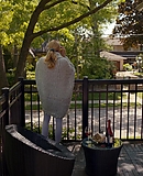 S3e42026-05-05-23h00m49s658.jpg